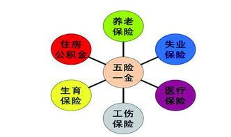 保险行业 五行|保险五行属于什么行业